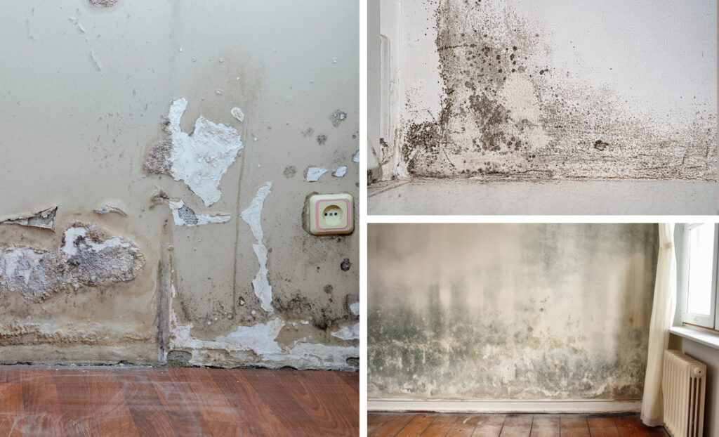 The current image has no alternative text. The file name is: 17326266376745c8cd1b6f8.jpg