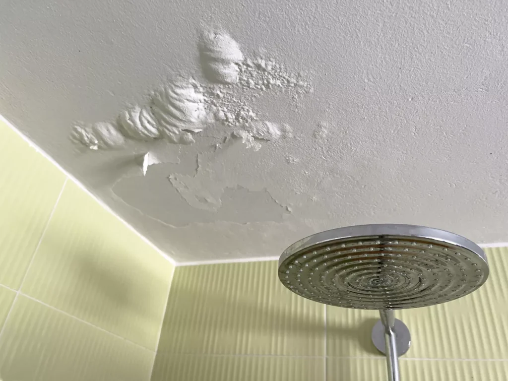 The current image has no alternative text. The file name is: pic3_ceiling.webp