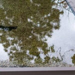 The current image has no alternative text. The file name is: ponding-flat-roof_480x480.jpg